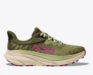 Women's HOKA Challenger 7 Trail Running Shoes Olive Green | ACDRE9732