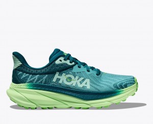 Women's HOKA Challenger 7 Trail Running Shoes Green | NGBDV9578