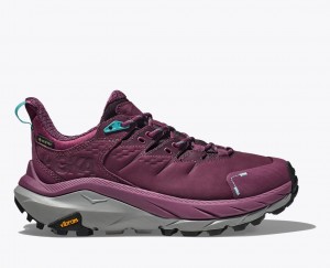 Women's HOKA Kaha 2 Low GTX Hiking Shoes Dark Red | EVFND4790