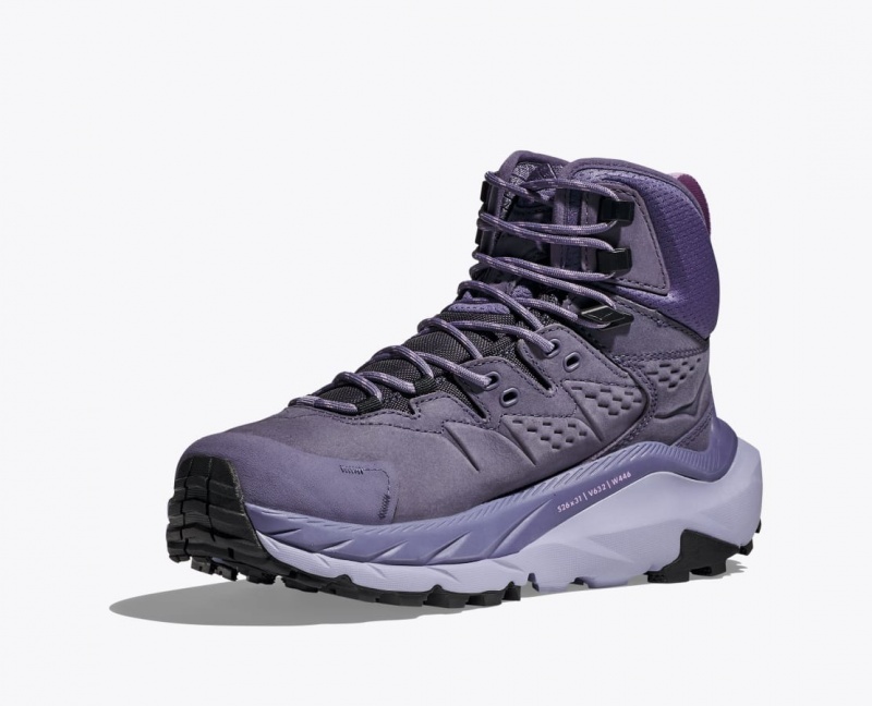 Women's HOKA Kaha 2 GTX Hiking Boots Purple | TSFUN3214