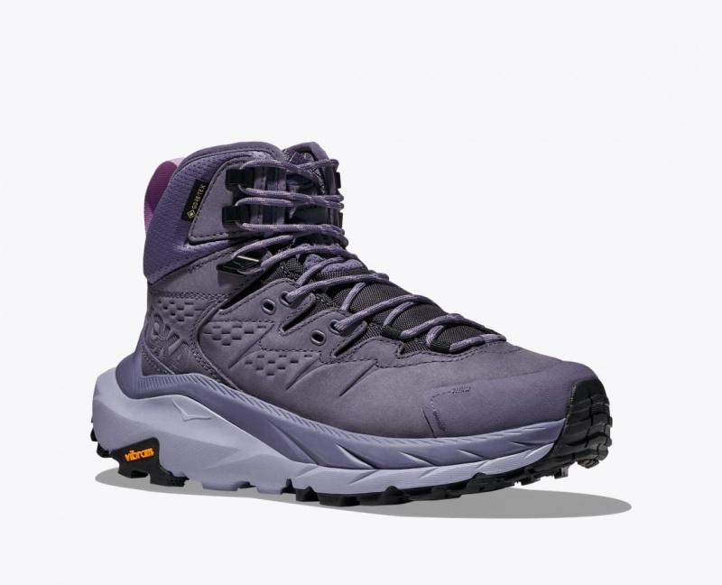 Women's HOKA Kaha 2 GTX Hiking Boots Purple | TSFUN3214